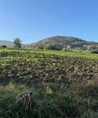 Terreno edificabile per villa mono/ bifamiliare a Tordenaso