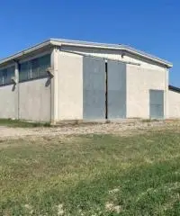 Terreno Agricolo di 8 ha con pozzo e stalla a Sissa Trecasali