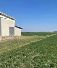 Terreno  Agricolo di 8 ha con pozzo e stalla a Sissa Trecasali