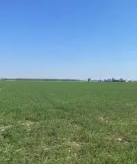 Terreno  Agricolo di 8 ha con pozzo e stalla a Sissa Trecasali