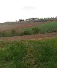 Rustico in Vendita a 75.000€ - Belvedere Ostrense