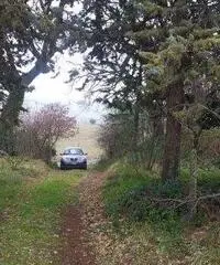 Rustico Altro - Ostra