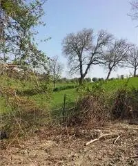 Rustico in Vendita a 165.000€ - Corinaldo