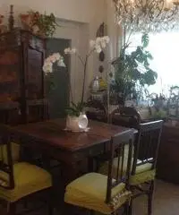 Appartamento - Senigallia