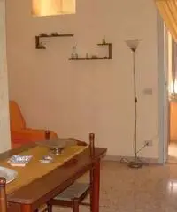 Affittasi posti letto/singole