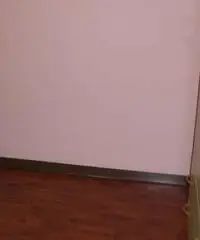 2 stanze per ragazza in centro