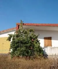 Aziendina agricola nel cuore del Sulcis