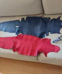 PANNELLI di PELLI ESOTICHE