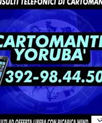 (¯`·._(¯`·._(Cartomante Yoruba')_.·´¯)_.·´¯)