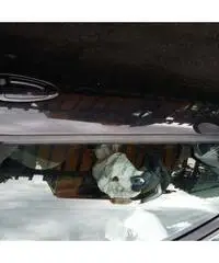 Grande Punto - Rimini