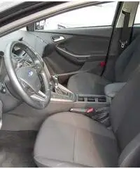 FORD FOCUS NUOVO MODELLO KM 11.000 - Veneto