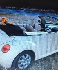 New beetle per matrimonio - Fermo