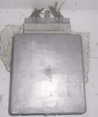 Centralina Ford Escort rif:91AB-12A650-GB - Molise