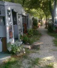 Roulotte - Bungalow a Marina di Massa