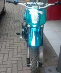 Pit bike al miglior offerente