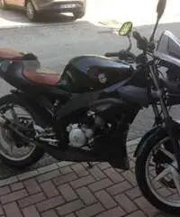 Aprilia Tuono 50cc.