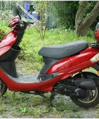 Scooter Motom 2010, quasi nuovo.