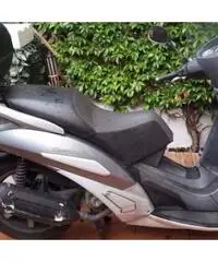 Peugeot geopolis 250