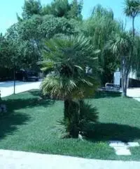 Appartamento vacanze estate in puglia