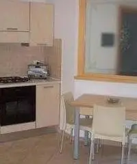 GROTTAMMARE RIVIERA DELLE PALME