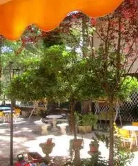 Offerta Giugno al Mare