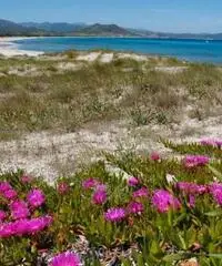 Vacanze Sardegna. Camera doppia Tramonto