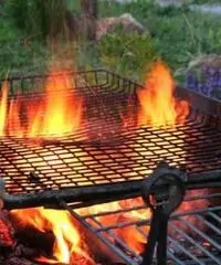 STREPITOSA OFFERTA GIUGNO IN AGRITURISMO IN MAREMMA TOSCANA