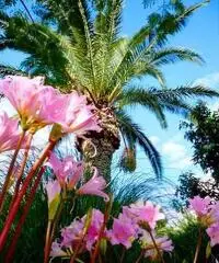 Ischia Monolocale confortevole 2-3 persone