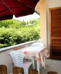 Appartamento 5/7 posti letto Fetovaia Elba