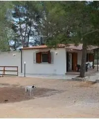 Salento a 13 km da Gallipoli - Casa Vacanze