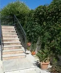 A 350mt DALLA SPIAGGIA CIAMMARITA TRAPPETO (PA)