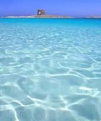 Offerta viaggio sardegna last minute