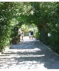 Villaggio Mediterraneo