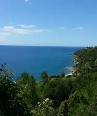 Palinuro - Vacanze al mare