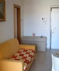 GROTTAMMARE RIVIERA DELLE PALME