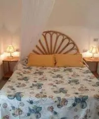 ELBA LAST MINUTE 11/18 Giugno, appartamento 4px 200€