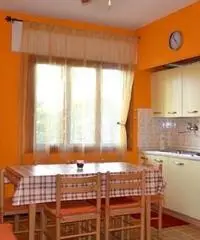 Affittasi appartamento Lignano Pineta