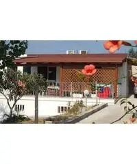 Vieste affitto mono, bilo e trilocali prezzi modici