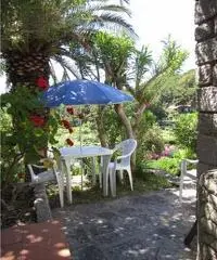 Bilocali 2/4 posti letto Fetovaia isola d'Elba