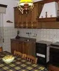 Weekend e feste sul monte amiata funghi e castagne