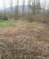 Terreno coltivabile mq 1200 Euro 11.000