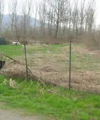 Terreno coltivabile mq 1200 Euro 11.000