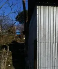 Vendita Agricolo da 2000mq