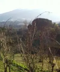 Vendita Agricolo da 2000mq