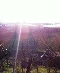 Vendita Agricolo da 2000mq