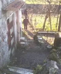 Vendita Agricolo da 2000mq