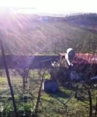 Vendita Agricolo da 2000mq