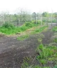 Vendita Agricolo in periferia