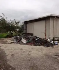Vendita Agricolo in Strada Provinciale San Vito - Scisciano