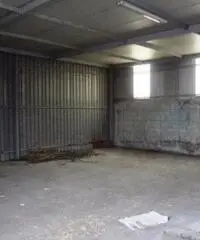 Vendita Agricolo in Strada Provinciale San Vito - Scisciano